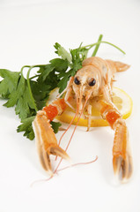 freshly caught shrimp with lemon