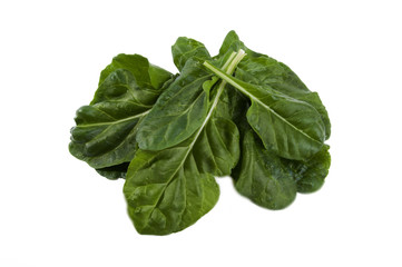 fresh chard on a white background