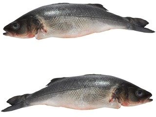 seabass ready to cooking