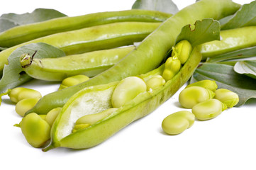 fresh beans with leaves