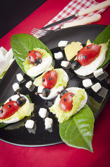 mozzarella ladybug