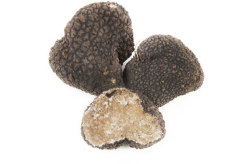 Freshly harvested black truffle