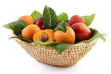apricots and peaches