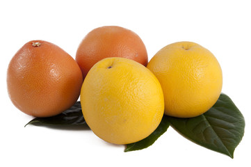 yellow and red grapefruit
