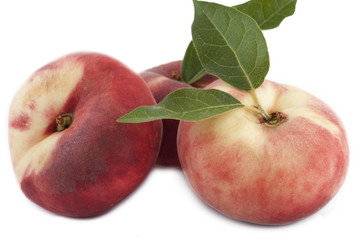 peaches snuff-pesche tabacchiera