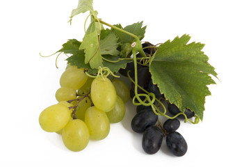 Fruit on a white background