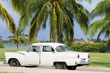Weisser Oldtimer parkt unter Palmen in Varadero Kuba