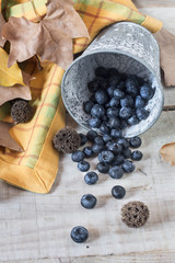 Blueberries in a rustic pot