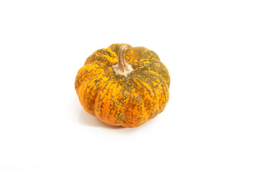 little pumpkin ii (isolated)