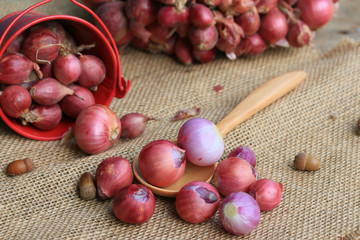 Obraz premium shallots