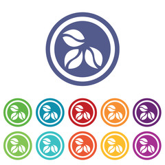 Coffee signs colored set