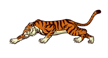 tiger