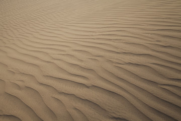 Waves of sand texture on a sand dune in Fayoum desert, Egypt