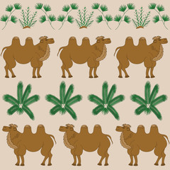 The favorite food of camel is the camel-thorn and other desert plants
