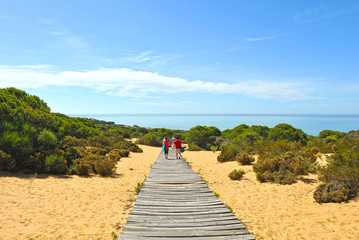 Paraje Natural Cuesta Maneli, Doñana, Huelva, España