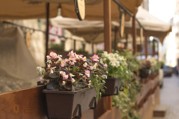 Flowers in a cafe on the outdoor terrace