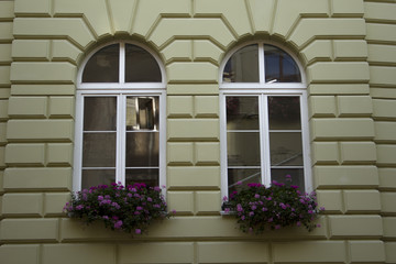 Fototapeta na wymiar beautiful windows with flowers in Lviv