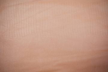 Fototapeta premium Snake skin, reptile