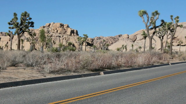 road in Joshua Tree national park in California 