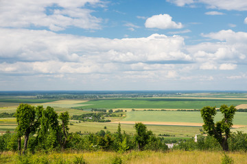 Meadow with cloudy blue sky background