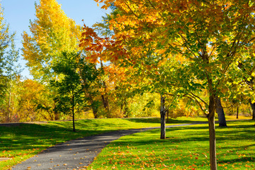 Early autumn in the park