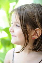 ambre