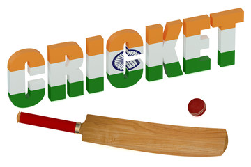 India Cricket concept