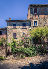 Fototapeta na wymiar Old Cortona town in Tuscany