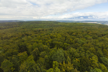 Fototapeta na wymiar Aerial view over a forest