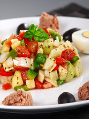 Tunisian salad with tomatos, cucumbers and tuna