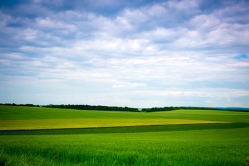 Green grassland and blue sky in summer