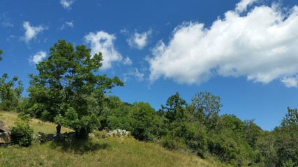 Obraz premium Pyrénées Orientales