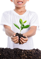 Boy holding young plant in hands above soil