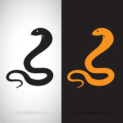 Vector image of an snake on white background and black backgroun