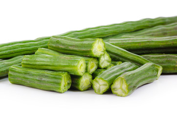 moringa isolated on a white background