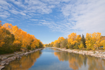 Landscape of autumn trees around Prince's Island lagoon. 