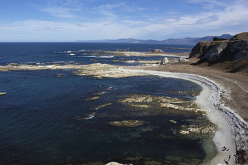 Costa de Kaikoura
