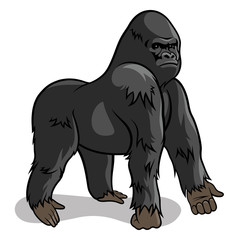 Obraz premium Gorilla 001