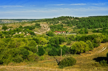 Naklejka premium Chalky flora reservation