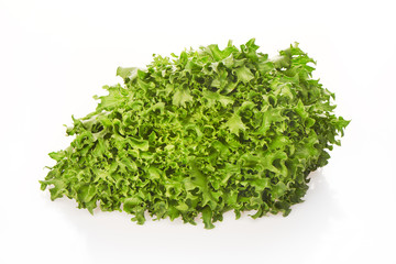 Green salad with drops of water isolated on white background