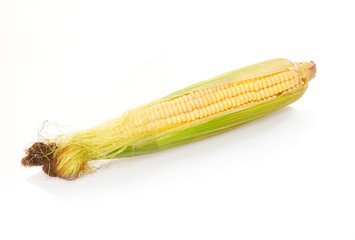 Ear of corn isolated on white background