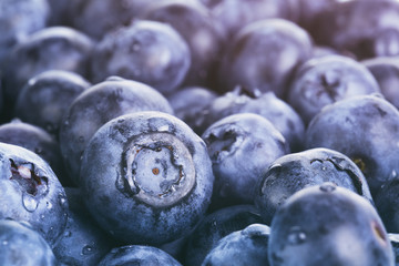 wet ripe blueberries for background