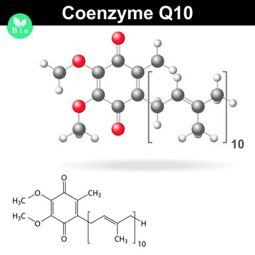 Coenzyme Q10 model