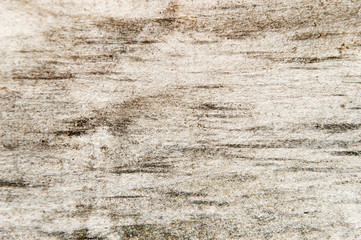 Wood texture