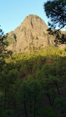 Parque Nacional de La Caldera de Taburiente. Isla de La Palma (Canarias)