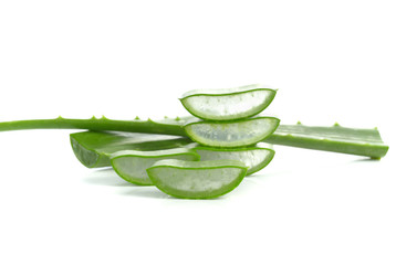 aloe vera fresh leaf. isolated over white