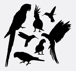 Naklejka premium Parrot and hummingbird silhouettes