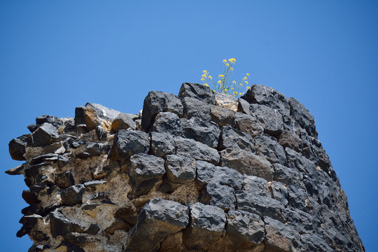 Part of the ruined wall,