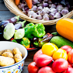 Fresh Organic Vegetables. Autumn Harvest Concept