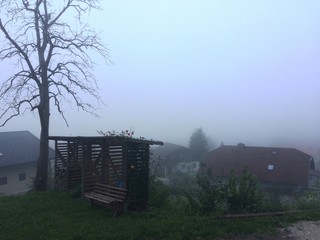 Nebel